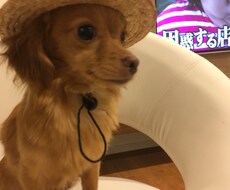 仕事を探してる方リストラで困ってる方相談のります イメージ1