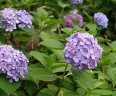 何でもポジティブに変換します イメージ1