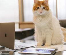 個人事業・法人＊見やすいホームページを制作します イメージ1