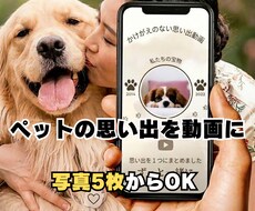 ペットの思い出を感動動画にします イメージ1
