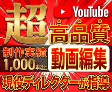 実践的な動画のレッスンを致します イメージ1