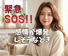 緊急SOS ！感情が爆発！今すぐ話したいを聴きます イメージ1