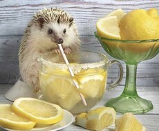 メンタルや現在のお悩み相談承ります イメージ1