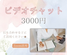 お見積り・面接に対応します オンライン秘書のカスタマイズ購入予定者さま専用！