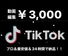 プロが最安値で！tiktok等動画作成をします イメージ1
