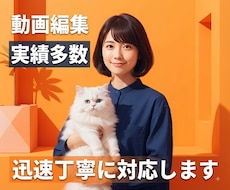 迅速・高品質▪️SNS動画編集代行します イメージ1