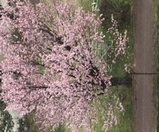 心のすき間埋めます イメージ1