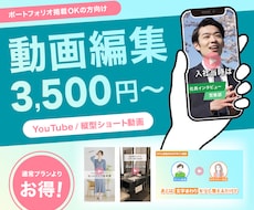 実績公開OKの方向け｜高品質な動画編集します イメージ1