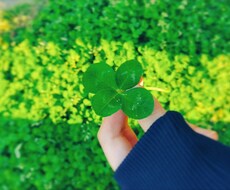 あなたの2018年占います 2018年をもっとよりよい1年にしたいあなたへ☆