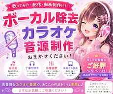 ボーカル除去・音声加工でカラオケ化音源を作成します 3曲3000円！生成AI音源OK！キー変更可/最短1週間納品