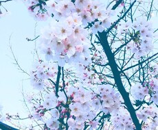 発達障碍、うつで悩んでいる方のお悩みに寄り添います イメージ1