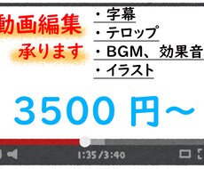 Youtuber向けの動画編集を承ります イメージ1