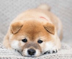 あなたの悩み聞きます 話して楽になりましょう♡スッキリしますよ(^^♪