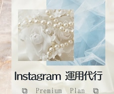 Instagram代行(画像制作込み)を行います Premium Plan /ハイクオリティなサービスをご提供