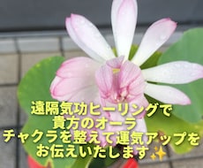 遠隔気功ヒーリング　言霊気功をお伝えいたします イメージ1