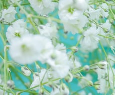 主婦の方のお悩みに寄り添います イメージ1