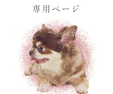 専用ページでございます 専用ページですので、他のお客様のご購入はお控えください