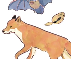 水彩タッチで動物のイラストを描きます イメージ1