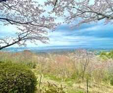 30代九州男児があなたの話し相手になります イメージ1