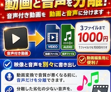 動画音声分離！動画（無音）と音声に分離します イメージ1