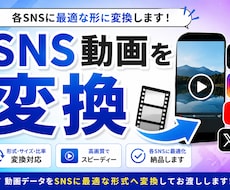 SNS動画を変換してお渡しいたします リール動画 / ショート動画 / 縦型動画 / デザイナー