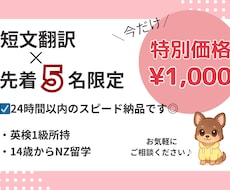 先着5名限定！短文翻訳を承ります 出品スタート記念！特別価格です