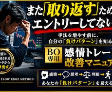バイナリー感情トレード改善のお手伝いします バイナリーで勝てない原因が分かる！感情トレード改善マニュアル