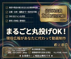 最高230万回再生の実績！現役広報が動画編集します イメージ1