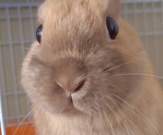 どんな小さな愚痴でも聞きます イメージ1