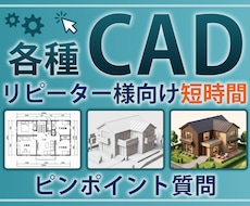 リピーター様向け　短時間レッスン致します 細かなご質問をピンポイントでレッスン