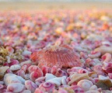 異性の気持ちをアドバイスします イメージ1