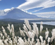 あなたの心の辛さを全部受け止めます イメージ1