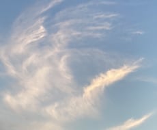 オーラ浄化の後、恋愛、仕事などご希望の道を作ります オーラ浄化の後にお望みの道を１本通します。