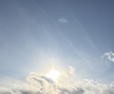 繊細で傷つきやすい心に寄り添います イメージ1