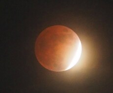 あなたの幸せをタロットでお手伝いします イメージ1