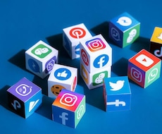 SNS運用いたします sns運用に付随する業務、フォロワー、再生回数など