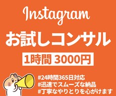 1時間インスタグラム運用のお悩み相談を承ります 迷ったらまずは相談！お試し相談でインスタがもっと楽しくなる！