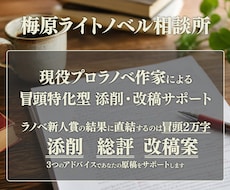 現役プロ作家があなたのラノベ執筆をサポートします ライトノベルの新人賞で超重要な冒頭部分を具体的に集中添削！