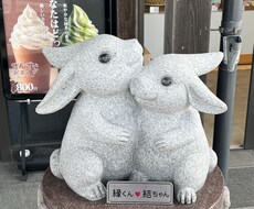 恋愛の相談に乗ります イメージ1