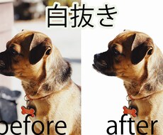 画像の白抜き加工いたします イメージ1