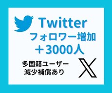 Twitter フォロワー 3000人 増やします 低価格・減少保証あり・多国籍フォロワー