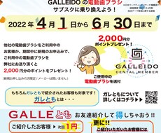 小規模飲食店・小売店さん向け販促チラシなど作ります