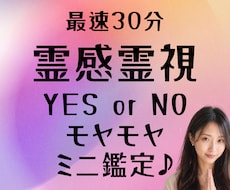 霊視でサクッと、あなたのモヤモヤをミニ鑑定します イメージ1