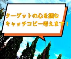 ターゲットの心を掴むキャッチコピーを考えます 文章を考えるのが苦手な方のお手伝いします！