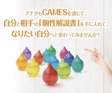 あなただけのオリジナル「個性解説書」をお届けします 個性１２分類・３分類を分析します！考え方の傾向・個性を明確に