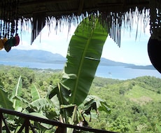 パラワンの魅力をご紹介します 緑がメッチャ濃い南の島に植林園を保有しています。
