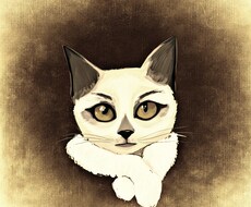 お写真を拝見deおひとりおひとりの魅力を見つけます おひとりおひとりの魅力を引き出すプロデュース(外見版)