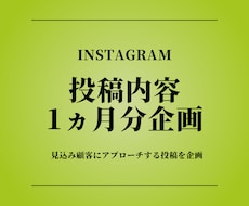 インスタ１ヵ月分の投稿内容企画立案します 【初回の方限定】投稿内容案を企画いたします。