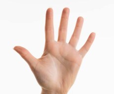 手相を見てあなたの運命を言い当てます イメージ1