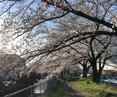 重い話から雑談まで何でも受け付けます イメージ1